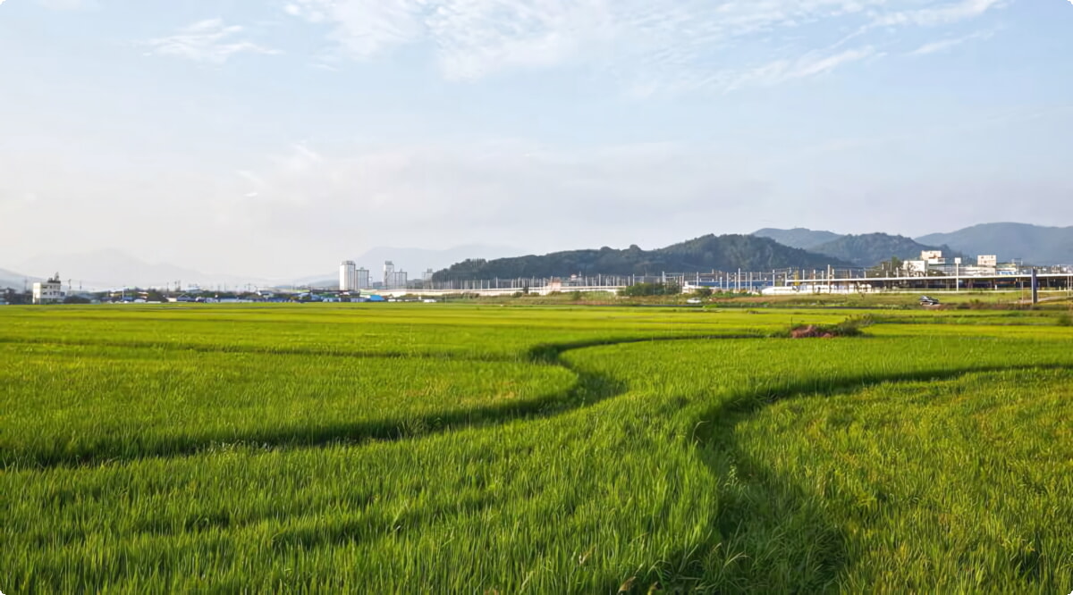 Nejlepší nabídky pronájmu aut v Jeongeupu